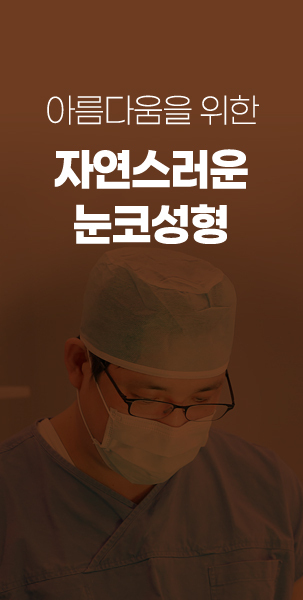 눈코성형
